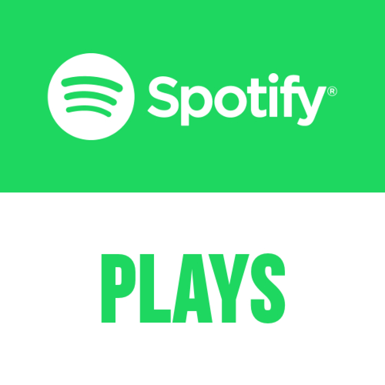 300000 Spotify Plays Monatspaket Basis (30 Tage) kaufen