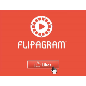 100 Flipagram Likes / Gefällt mir Angaben für Dich