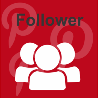 100 Pinterest Followers / Abonnenten für Dich