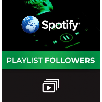 2000 Zielgerichtete Spotify Playlist Followers / Wiedergabelisten Abonnenten für Dich