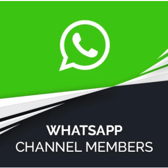 300 WhatsApp Channel Members for you